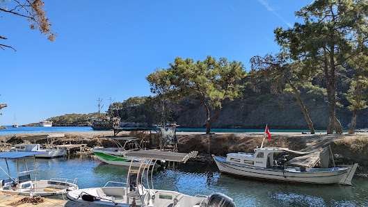 Alacasu Koyu Yerel İşletme fotoğrafı 2
