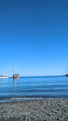 Alacasu Koyu Yerel İşletme fotoğrafı 4